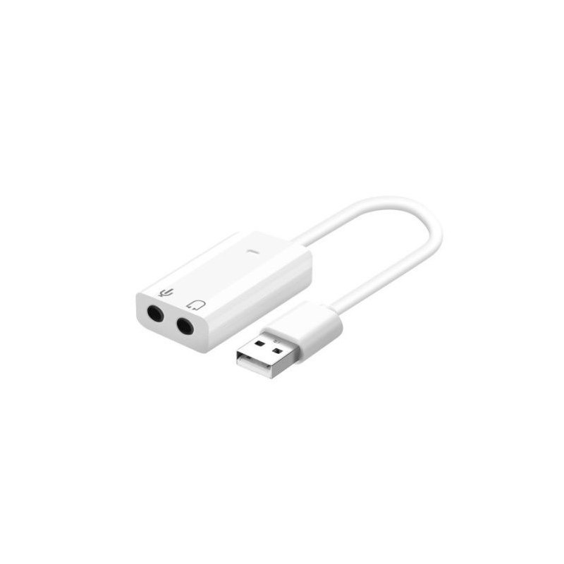 Carte Son MultiMedia avec Cable